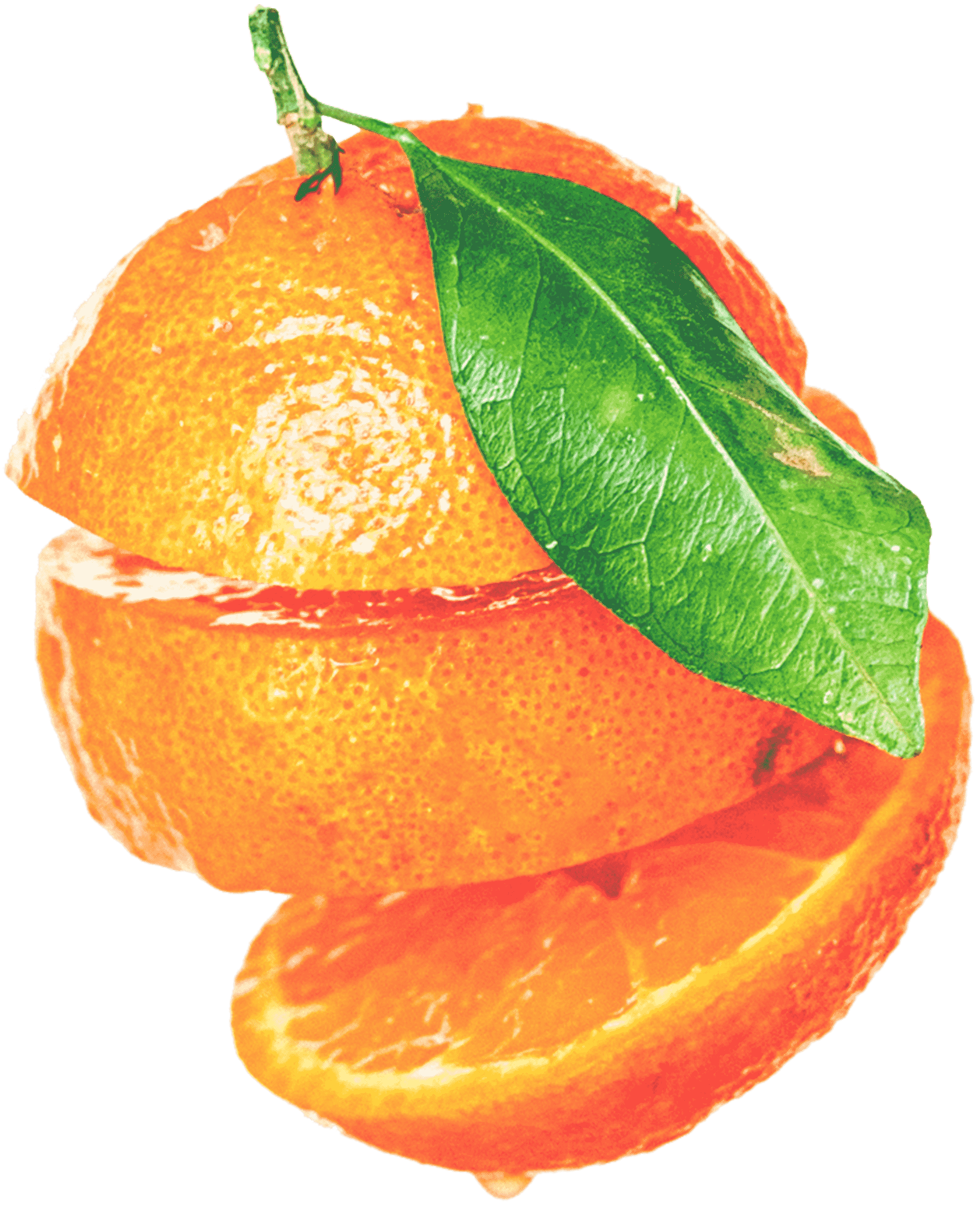 orange-fruit-sliced-or-cut-image